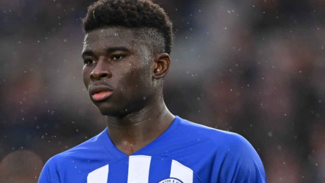 man utd transfer news